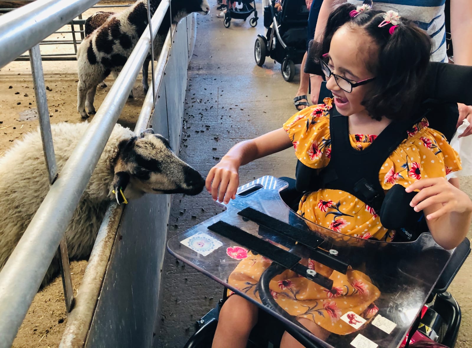 Girl with Cerebral Palsy feeding sheep