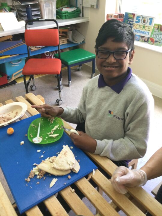 Photo of a boy with a neurodisability making sandwiches in a daily living skills lesson at Pace school