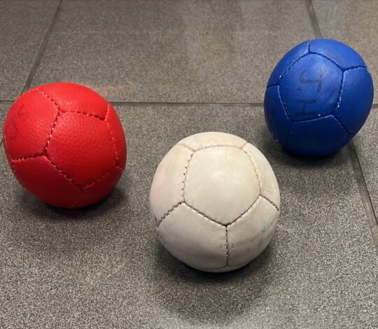 Boccia Balls